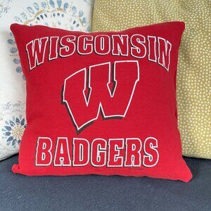University of Wisconsin Badgers Handmade reworked sweatshirt 16" pillow cover